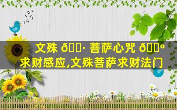 文殊 🌷 菩萨心咒 🐺 求财感应,文殊菩萨求财法门